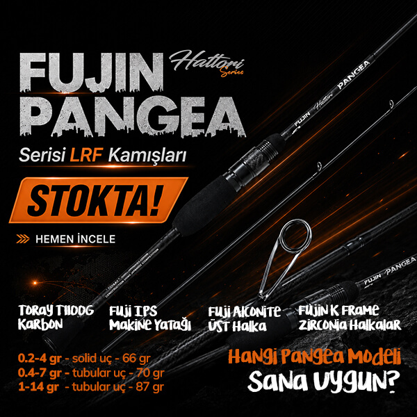 Fujin Pangea Kamışlar Stokta!