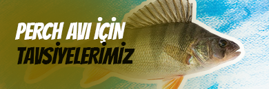 Perch avı için tavsiye maketler